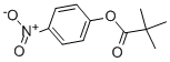 Structure of 4-NITROPHENYL TRIMETHYLACETATE
