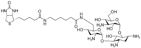 BIOTINAMIDOCAPROATE TOBRAMYCIN AMIDE结构式