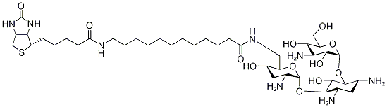 Structure of N-BIOTINYL-12-AMINODODECANOYLTOBRAMYCIN AMIDE