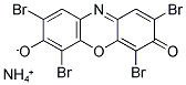 Structure of LACMOID