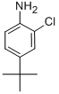 Structure of 4-(TERT-BUTYL)-2-CHLOROANILINE