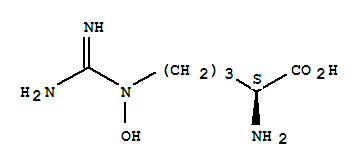 Structure of N(5)-hydroxy-L-arginine