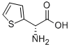 Structure of (R)-2-THIENYLGLYCINE