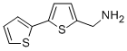Structure of 2,2-BITHIOPHENE-5-METHYLAMINE