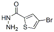 Structure of 2-THIOPHENECARBOXYLIC ACID 4-BROMO-,HYDRAZIDE