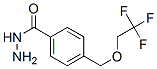 Structure of BENZOIC ACID 4-[(2,2,2-TRIFLUOROETHOXY)METHYL]-,HYDRAZIDE