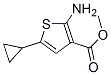 Structure of 3-THIOPHENECARBOXYLIC ACID 2-AMINO-5-CYCLOPROPYL-,METHYL ESTER