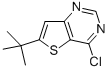 Structure of 6-tert-butyl-4-chlorothieno[3,2-d]pyrimidine