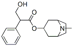 Structure of Aminoxytropine tropate