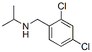 Structure of 2,4-dichloro-N-isopropylbenzylamine