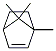 Structure of 2-Bornene