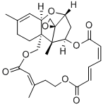 Structure of verrucarin J