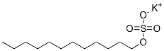 Structure of potassium dodecyl sulphate