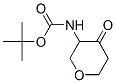 Structure of CARBAMIC ACID (TETRAHYDRO-4-OXO-2H-PYRAN-3-YL)-,TERT-BUTYL ESTER