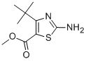 Structure of METHYL 2-AMINO-4-(TERT-BUTYL)-1,3-THIAZOLE-5-CARBOXYLATE