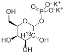 Structure of ALPHA-D-[2-13C]GALACTOPYRANOSYL 1-PHOSPHATE DIPOTASSIUM SALT