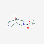 Structure of 9-Oxa-3,7-diazabicyclo[3.3.1]nonane-3-carboxylic acid,1,1-dimethylethyl ester
