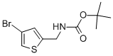 Structure of 4-Bromo-2-(N-Boc-aminomethyl)thiophene