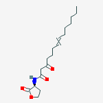 Structure of N-3-oxo-tetradec-7Z-enoyl-L-Homoserine lactone