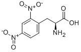 Structure of 2,4-dinitro-3-phenyl-L-alanine