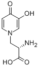 Structure of L-MIMOSINE