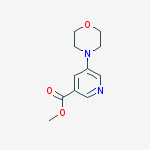 Structure of 3-Pyridinecarboxylic acid, 5-(4-morpholinyl)-, methyl ester