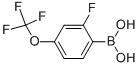 Structure of 2-FLUORO-4-TRIFLUOROMETHOXYBENZENEBORONIC ACID