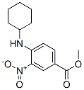 Structure of 3-Nitro-4-(Cyclohexylamino) Benzoic Acid Methyl Ester