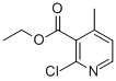 Structure of 2-CHLORO-4-METHYL-NICOTINIC ACID ETHYL ESTER