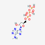 Structure of N(6)-methyldeoxyadenosine 5-triphosphate