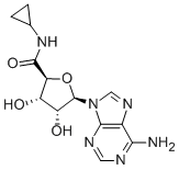 Structure of 5-(N-CYCLOPROPYL)CARBOXAMIDOADENOSINE