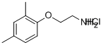Structure of 2-(2,4-dimethylphenoxy)ethanamine