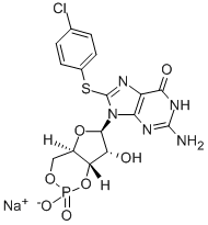 Structure of 8-(4-CHLOROPHENYLTHIO)GUANOSINE 3,5-CYCLIC MONOPHOSPHATE SODIUM SALT