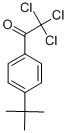 Structure of P-TERT-BUTYL-2,2,2-TRICHLOROACETOPHENONE
