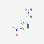 Structure of (3-NITROBENZYL)HYDRAZINE