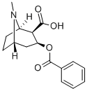 Structure of BENZOYLECGONINE