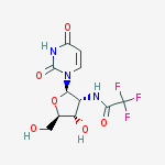 Structure of Uridine, 2'-deoxy-2'-[(trifluoroacetyl)amino]-