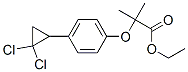 Structure of ethyl 2-[4-(2,2-dichlorocyclopropyl)phenoxy]-2-methylpropionate