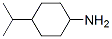 Structure of 1-Amino-4-isopropylcyclohexane