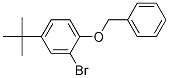 Structure of 1-Benzyloxy-2-bromo-4-t-butylbenzene
