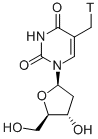 Structure of THYMIDINE, [METHYL-3H]
