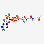 Structure of S-cyclopropanecarboxyl-coenzyme A
