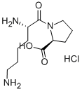 Structure of L-LYSYL-L-PROLINE HYDROCHLORIDE