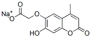 Structure of sodium [(7-hydroxy-4-methyl-2-oxo-2H-1-benzopyran-6-yl)oxy]acetate