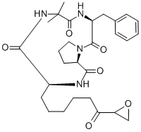 Structure of CHLAMYDOCIN