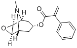 Structure of APOHYOSCINE