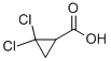 Structure of 2,2-DICHLORO-CYCLOPROPANECARBOXYLIC ACID