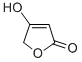 Structure of 4-Hydroxy-2(5H)-furanone