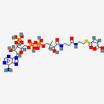 Structure of maleyl-coenzyme A