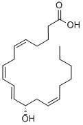 Structure of 12(S)-HETE